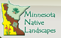 mnnativelandscapes